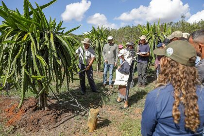 Produtores rurais do Distrito Federal têm acesso a assistência técnica e extensão rural gratuita em 15 escritórios e centro de formação