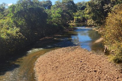 Governo do Distrito Federal prorroga prazo do Edital de Chamamento Público para recomposição da vegetação na Bacia do Rio Melchior até 9 de agosto