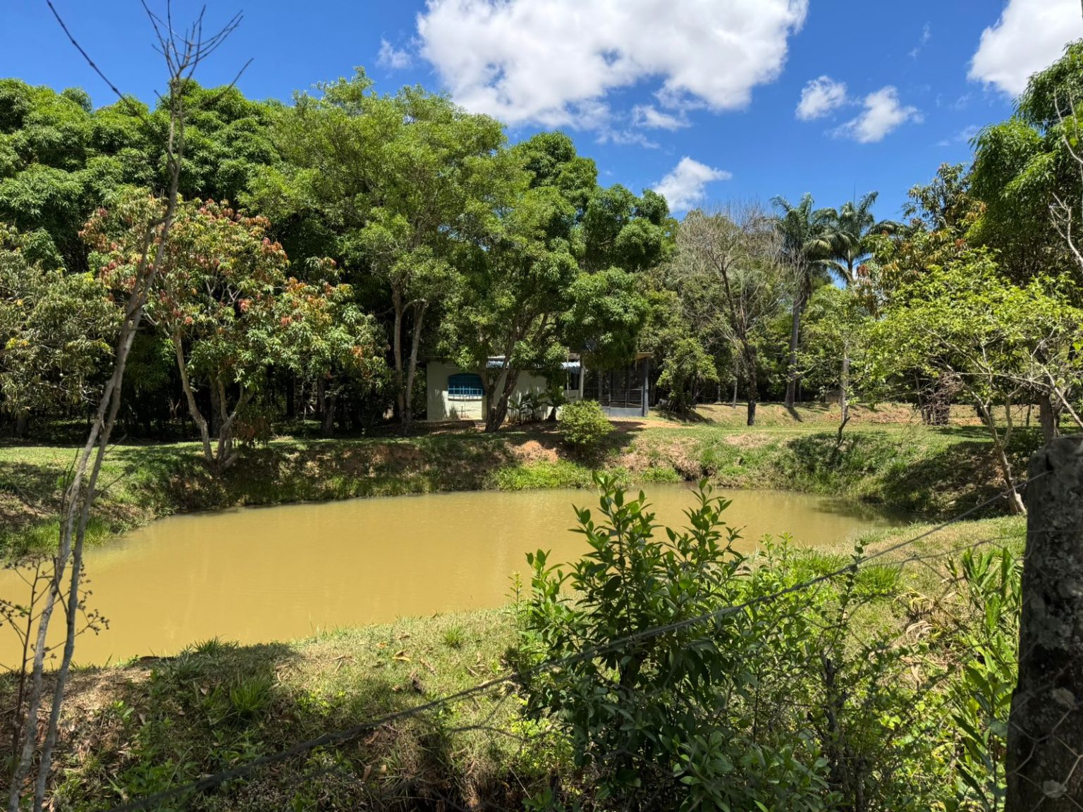 Consulta pública abre proposta de criação da RPPN Estância Pinheiros na Região Administrativa do Jardim Botânico