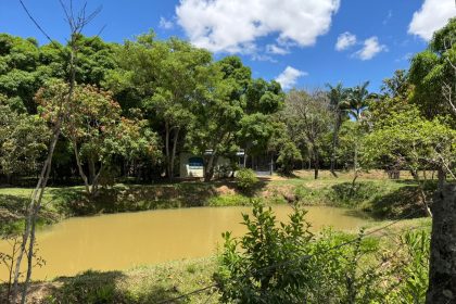 Consulta pública abre proposta de criação da RPPN Estância Pinheiros na Região Administrativa do Jardim Botânico