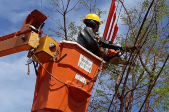 Interrupção de energia afetará o Jardim Botânico no km 7 nesta quarta entre 10h e 16h