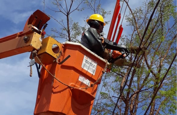 Interrupção de energia afetará o Jardim Botânico no km 7 nesta quarta entre 10h e 16h