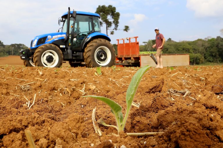 Medida Provisória 1376/26 autoriza linhas de crédito rural e prorroga parcelas para produtores afetados