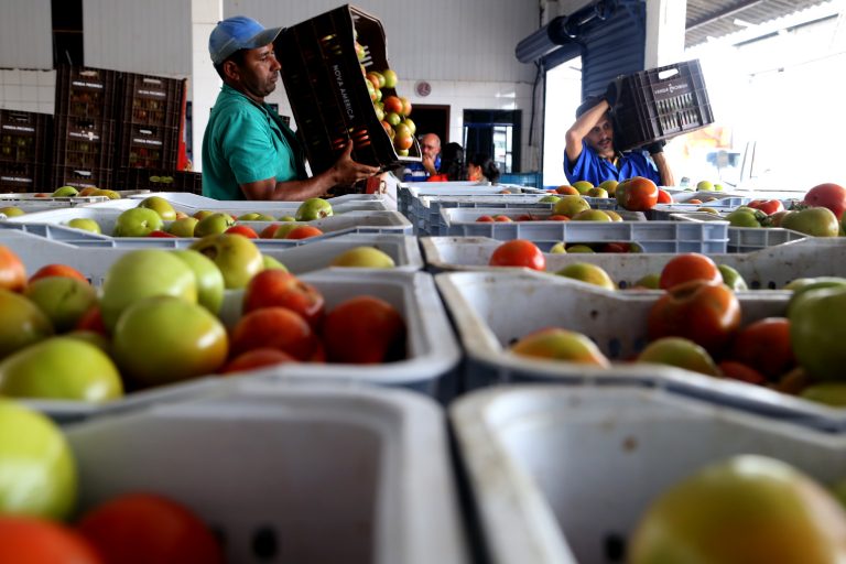 Sisan prioriza distribuicao de alimentos para casas-abrigo e reforca seguranca alimentar de mulheres em situacao de violencia