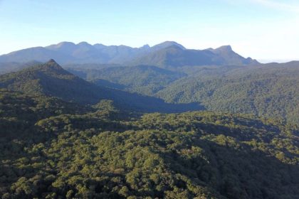 Câmara aprova regras que permitem atividades agrossilvopastoris na Mata Atlântica e altera fiscalização ambiental