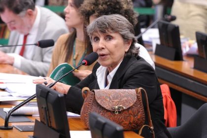 Comissão da Câmara aprova criação de serviço de acolhimento institucional para mulheres e famílias vulneráveis