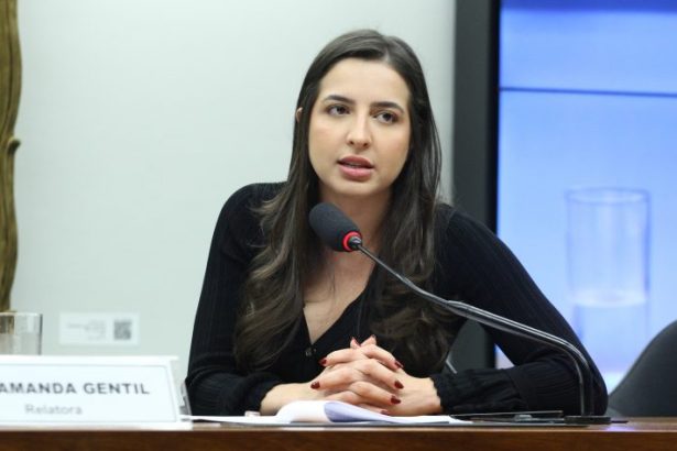 Projeto cria Sistema Nacional de Monitoramento e determina Arma Zero para agressores com arma de fogo