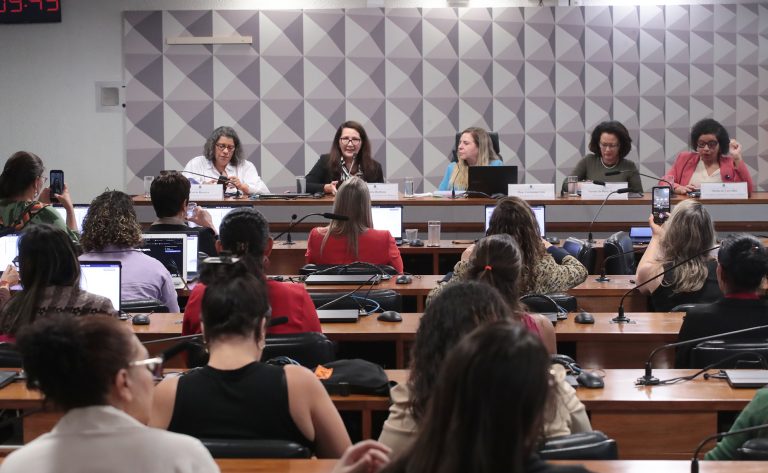 Parlamentares e ativistas pedem votação da criminalização da misoginia no Plenário antes do recesso