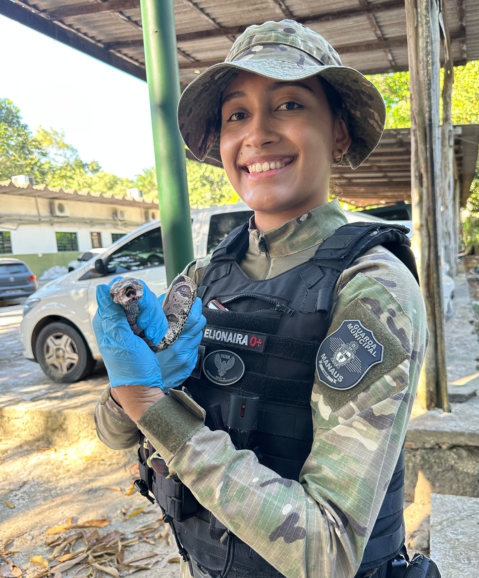 Patrulhamento Ambiental resgata quatro animais silvestres em diferentes áreas de Manaus nesta quarta