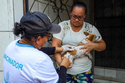 Manaus convoca 30 candidatos do PSS para a Campanha de Vacinação Antirrábica Animal de 2026 e define prazos para apresentação de documentos