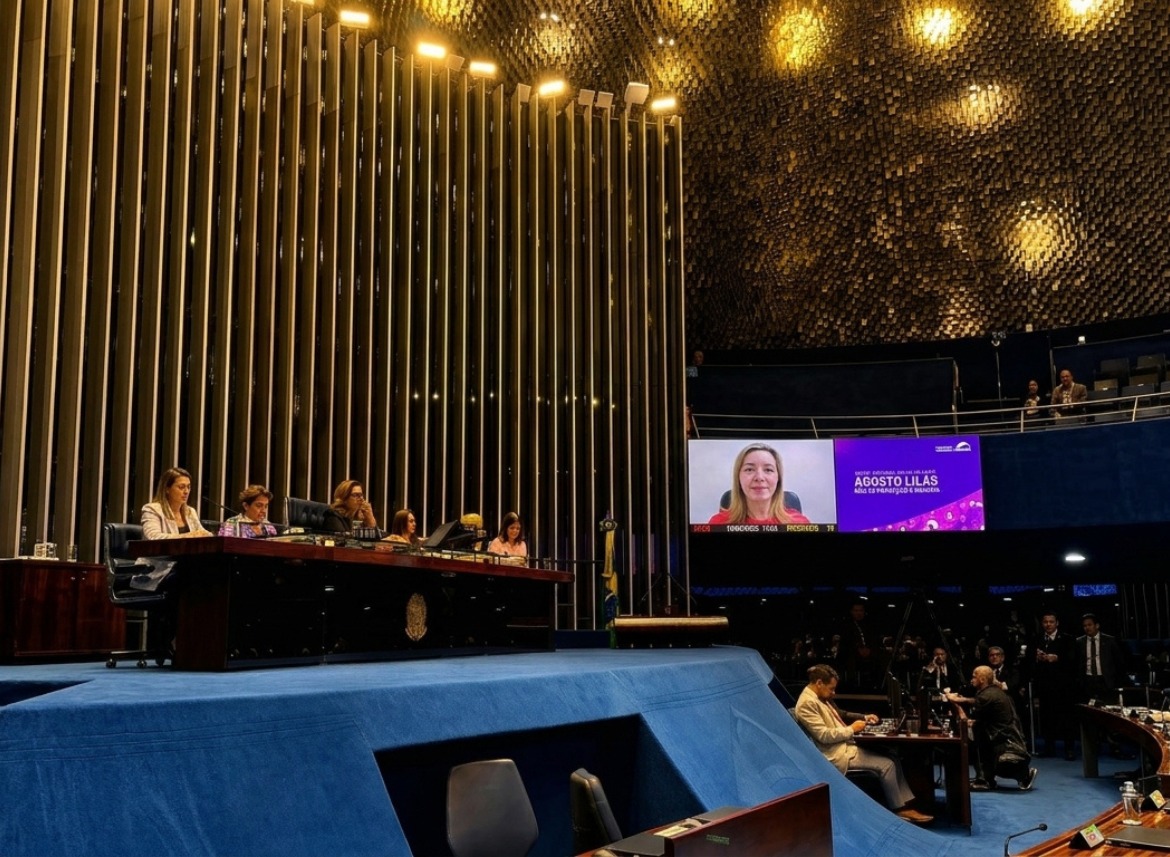 TJAM aponta desafios de acesso à Lei Maria da Penha para mulheres na Amazônia durante sessão no Senado