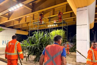 Manaus inicia modernização do viaduto Dom Jackson Damasceno Rodrigues com pintura, LED e paisagismo