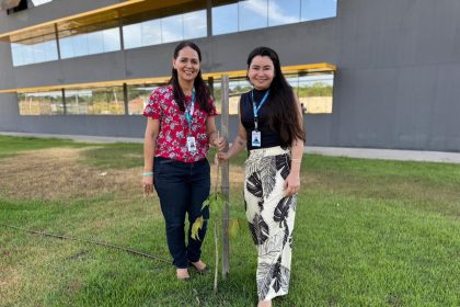 Implurb realiza arborização da nova sede no Parque Mosaico e envolve servidores em plantios coletivos
