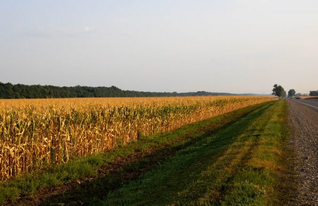 Projeto autoriza cultivo de lavouras nas faixas de domínio de rodovias em trechos não urbanos
