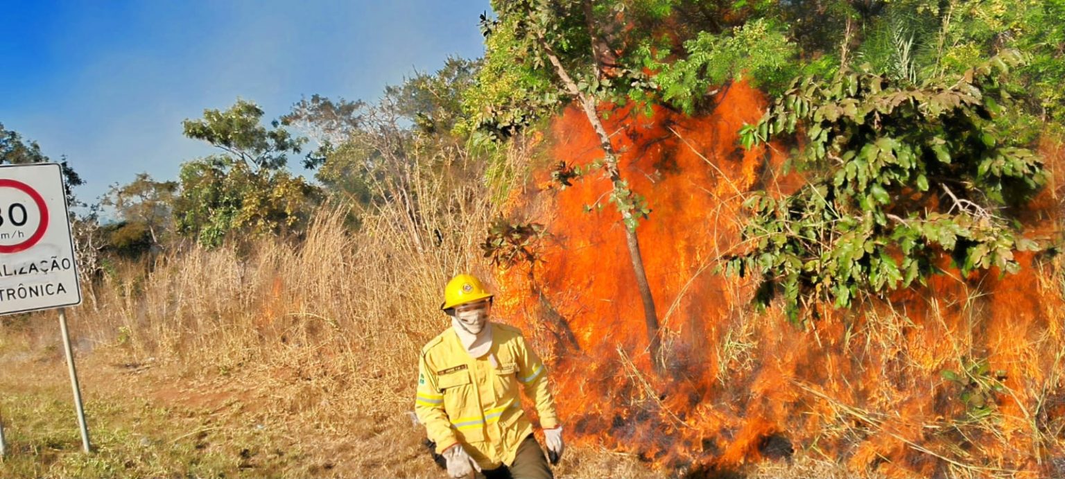 Queima de lixo e de vegetação é crime e aumenta risco de incêndios no Cerrado com previsão de El Niño