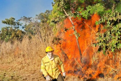 Queima de lixo e de vegetação é crime e aumenta risco de incêndios no Cerrado com previsão de El Niño