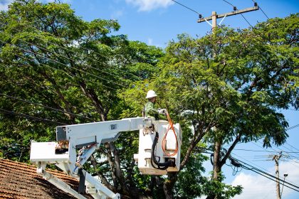 Interrupção de energia em Brazlândia neste sábado atinge Núcleo Rural Alexandre Gusmão e chácaras