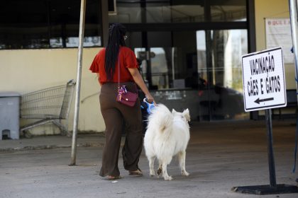 Vacinação antirrábica no Distrito Federal avança para áreas urbanas neste sábado (22) com mutirões