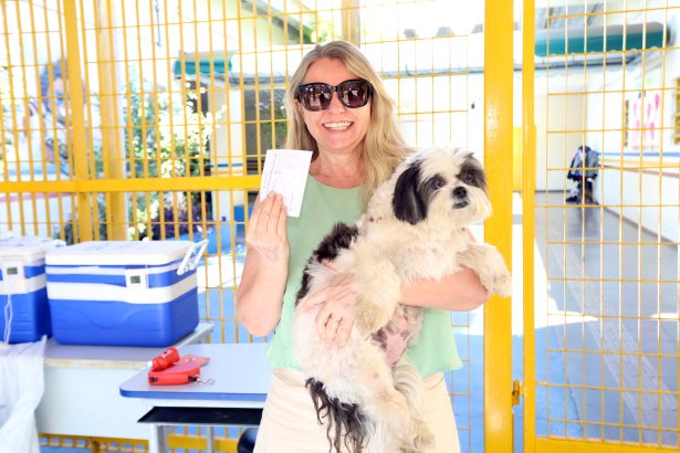 Vacinação contra a raiva em cães e gatos aplica 41.756 doses na etapa urbana do DF