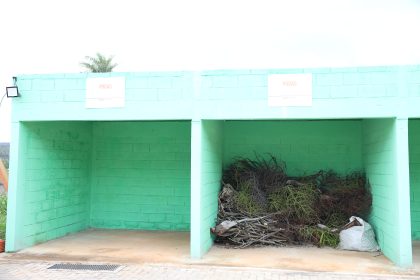 Distrito Federal orienta descarte de resíduos de poda em papa-entulho durante período de seca