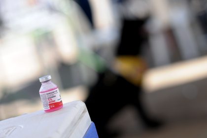 Vacina antirrábica disponível o ano todo em pontos do Distrito Federal e reforça proteção de cães e gatos
