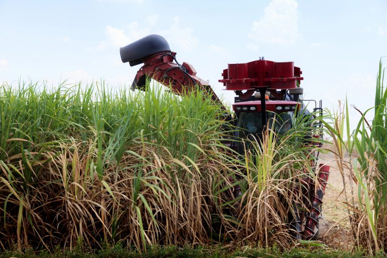 Governo publica subvenção aos produtores de cana-de-açúcar de R$ 270 milhões para o Nordeste