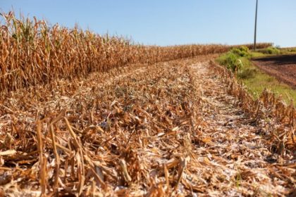Congresso analisa MP 1383/26 que libera R$ 360 milhões para desastres climáticos no Orçamento de 2026