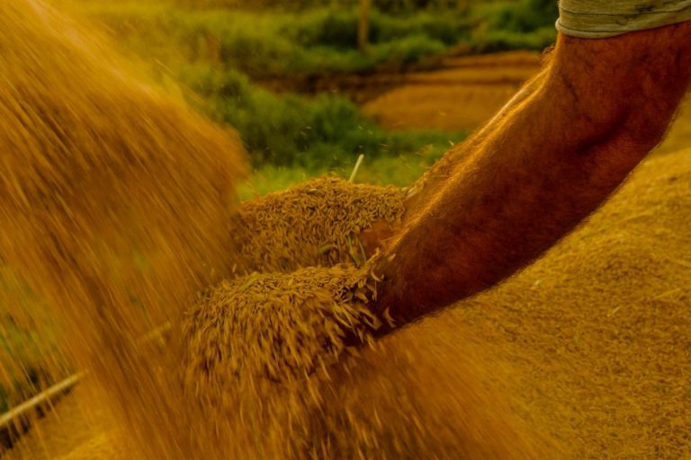 Governo abre crédito extraordinário de R$ 925 milhões no Orçamento de 2026 para enfrentar El Niño