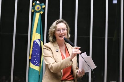 Projeto de Lei 161/26 propõe reconhecer cães e gatos como sujeitos de direitos e prevê deveres do Estado e tutores
