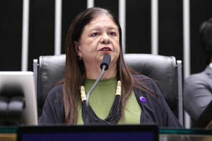 Projeto torna enfrentamento ao feminicídio política pública permanente e protege comitê interinstitucional contra extinção por decreto