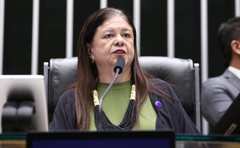 Projeto torna enfrentamento ao feminicídio política pública permanente e protege comitê interinstitucional contra extinção por decreto