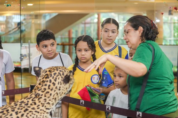 Exposição Animais da Amazônia reúne coleções do Inpa no Manauara até 25 de setembro