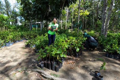 Prefeitura de Manaus realiza doação de mudas no Dia da Árvore e entrega 1.460 unidades