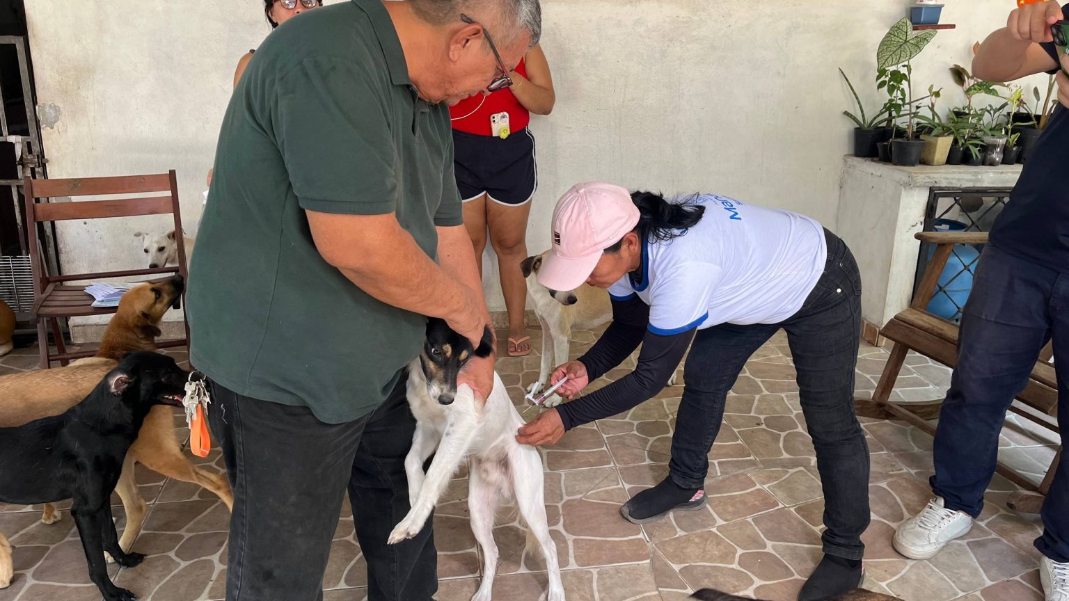 Manaus mantém vacinação antirrábica para cães e gatos com atendimento domiciliar até 30 de novembro