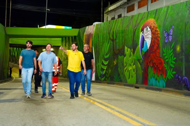 Prefeitura de Manaus inicia recuperação de viadutos simultânea com modernização de iluminação e paisagismo