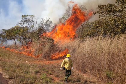 Moradores próximos a áreas de vegetação devem acionar 193 ao identificar incêndios florestais e evitar tentar apagar o fogo