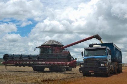 Projeto de Lei 1928/26 regulamenta apreensão e perdimento na defesa agropecuária federal em portos e fronteiras
