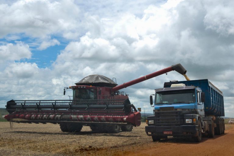 Projeto de Lei 1928/26 regulamenta apreensão e perdimento na defesa agropecuária federal em portos e fronteiras