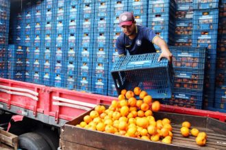 Projeto de lei prioriza armazenagem pós-colheita de frutas e hortaliças em programas federais de infraestrutura