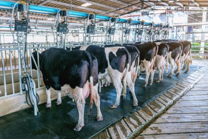 Projeto institui programa federal para valorizacao da pecuaria leiteira e amplia apoio a produtores