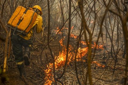Projeto de Lei 2973/26 considera pecuária sustentável no Pantanal instrumento para prevenir incêndios e cria política nacional