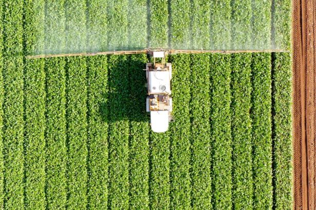 Profert entra em vigor com regras de mistura mínima e linhas de crédito para impulsionar a produção nacional de fertilizantes