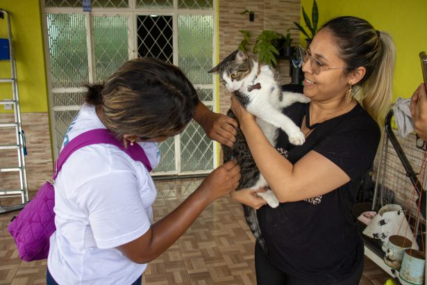 Prefeitura de Manaus intensifica vacinação antirrábica animal nas comunidades do rio Negro