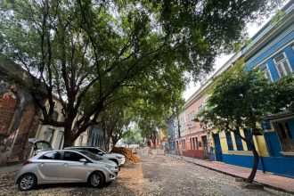 Oitizeiros serão preservados na requalificação da rua Ferreira Pena para a primeira Rua Gastronômica de Manaus