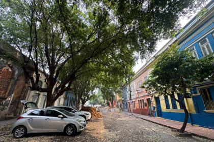 Oitizeiros serão preservados na requalificação da rua Ferreira Pena para a primeira Rua Gastronômica de Manaus