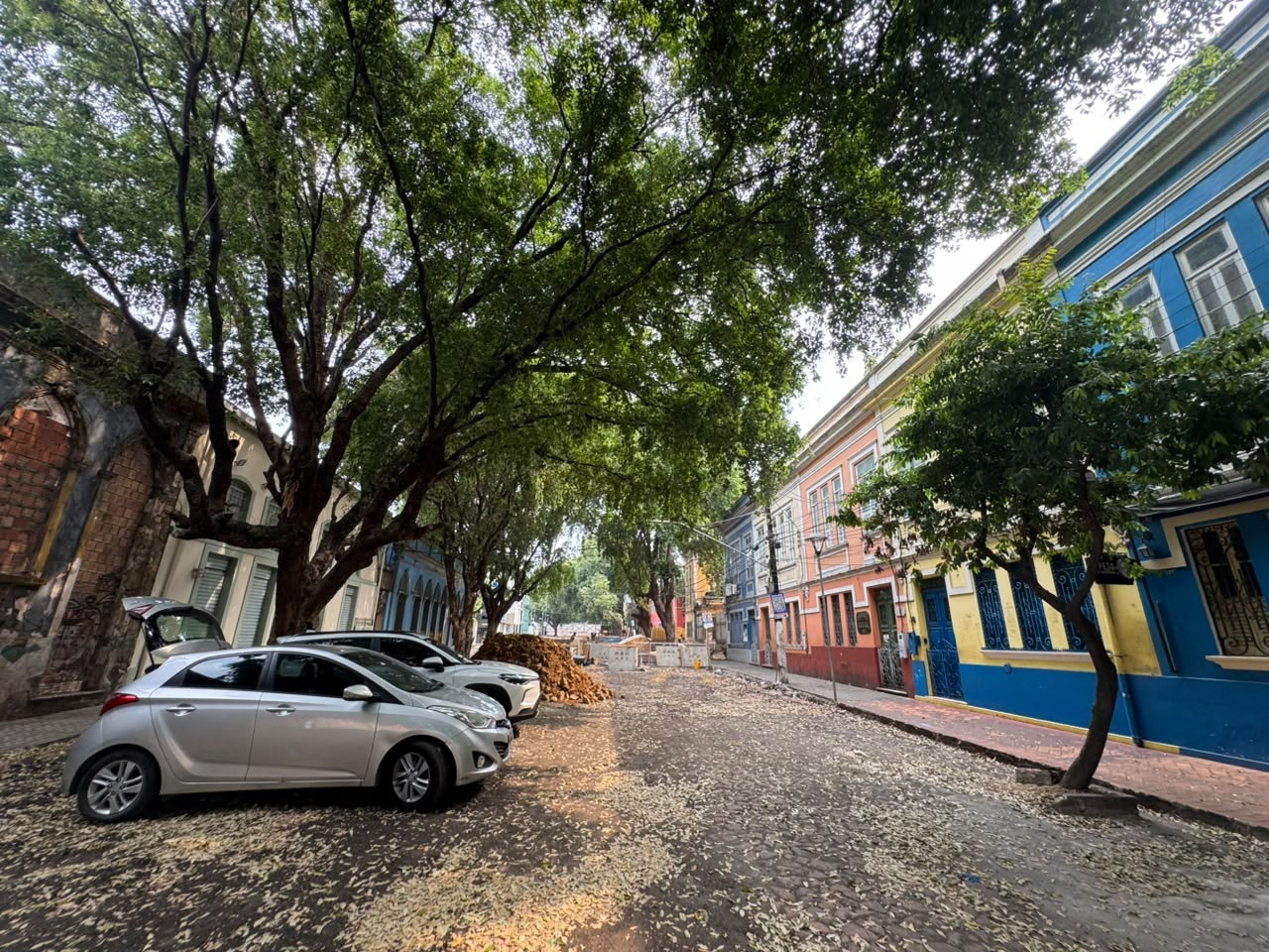 Oitizeiros serão preservados na requalificação da rua Ferreira Pena para a primeira Rua Gastronômica de Manaus