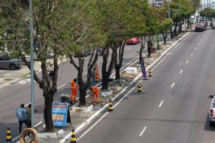 Prefeitura de Manaus intensifica revitalização do canteiro central da avenida Castelo Branco para organizar trânsito e impedir retornos irregulares