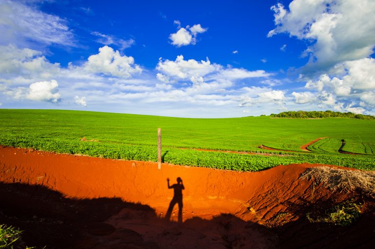 Projeto de Lei 3238/26 proíbe compras públicas de produtos agropecuários originados em áreas invadidas